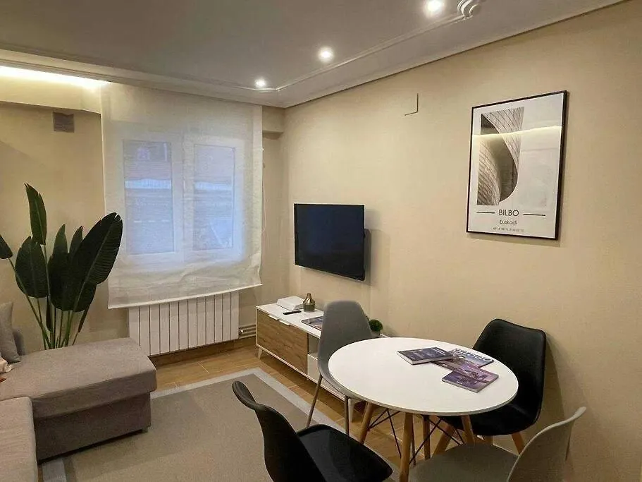 Rincon Acogedor Descubre La Ciudad Apartment Bilbao Spain